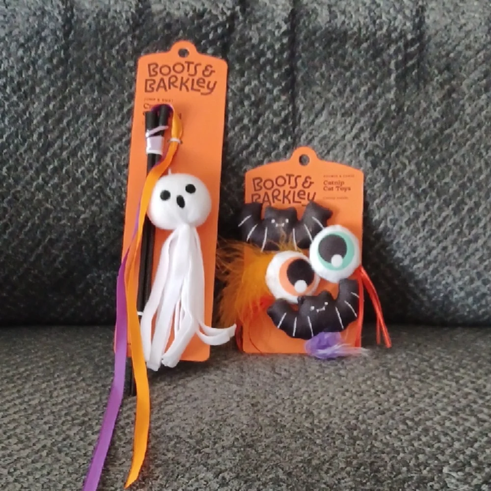 New Boots & Barkley Cat Toys Set Catnip Cat Wand & Catnip Cat Toys
